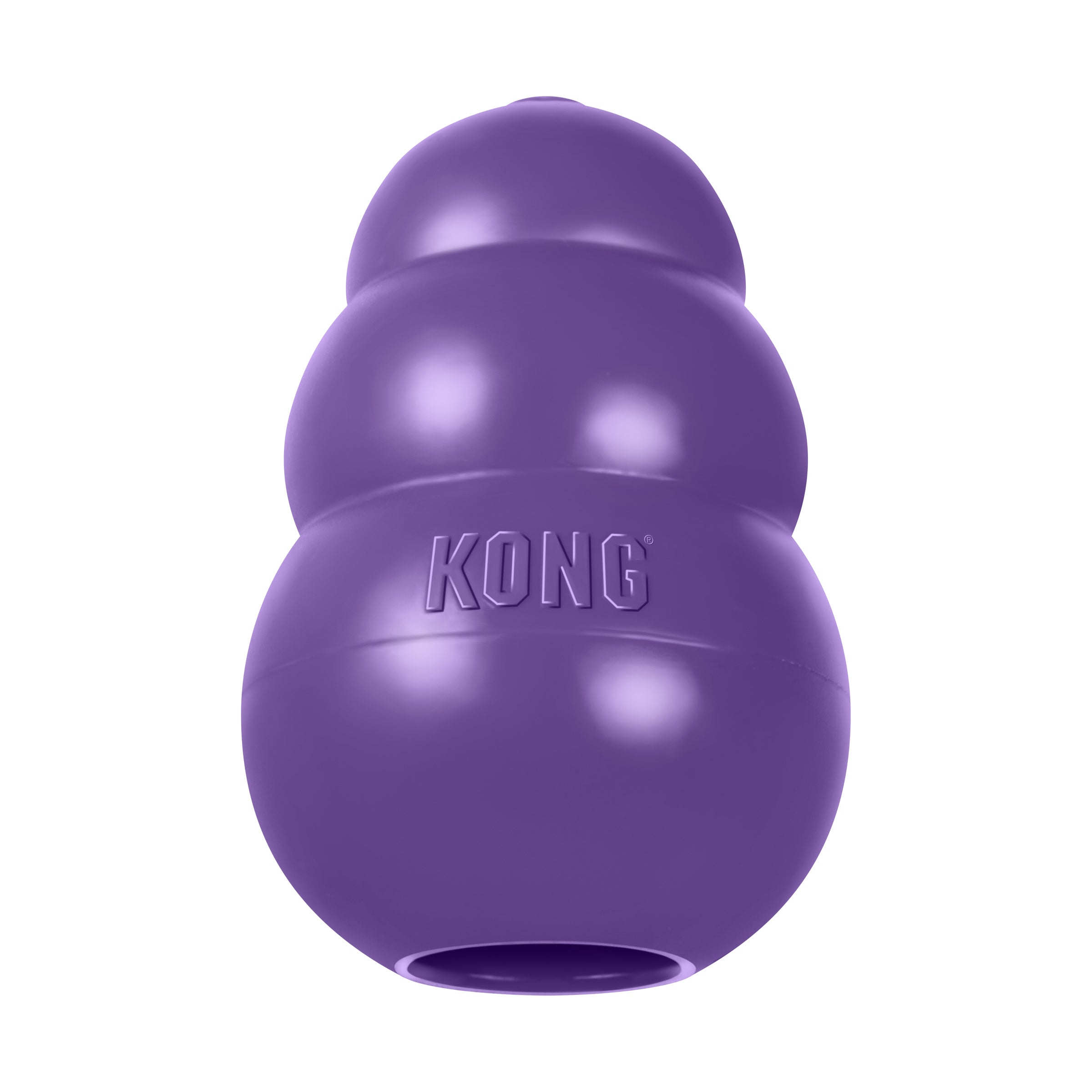 KONG Senior Treat Dispenser