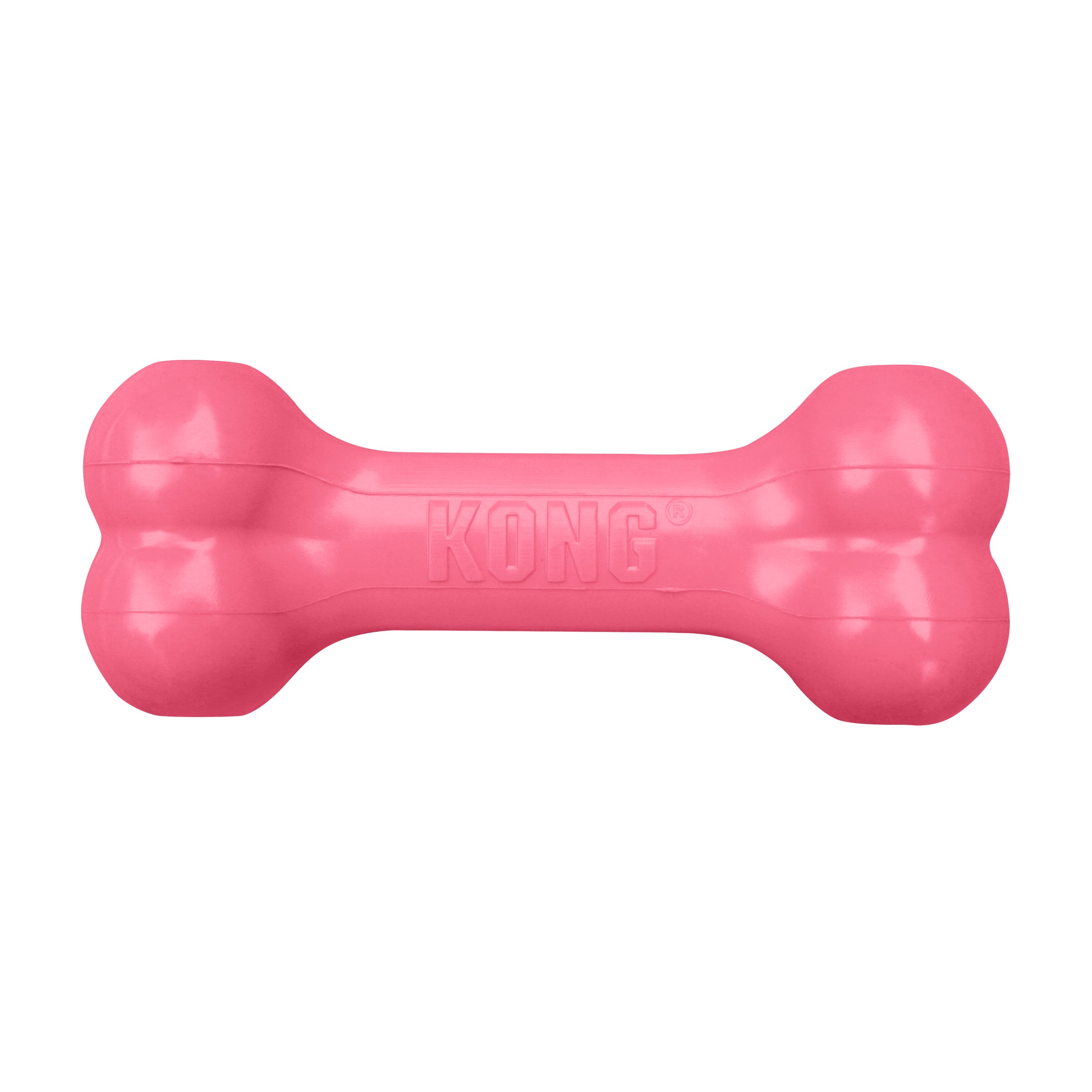 KONG Puppy Goodie Bone (Small, Assorted)