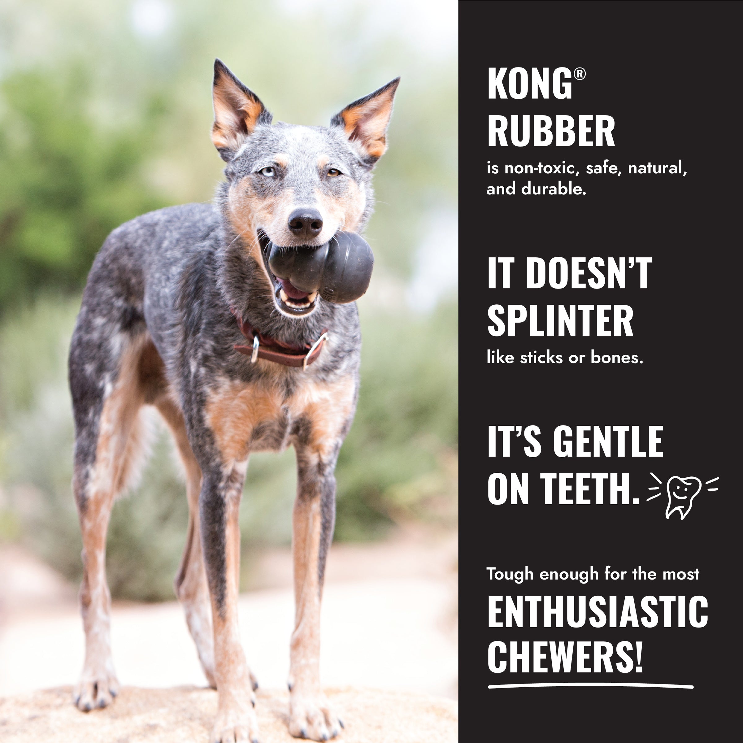 KONG Extreme Tyres