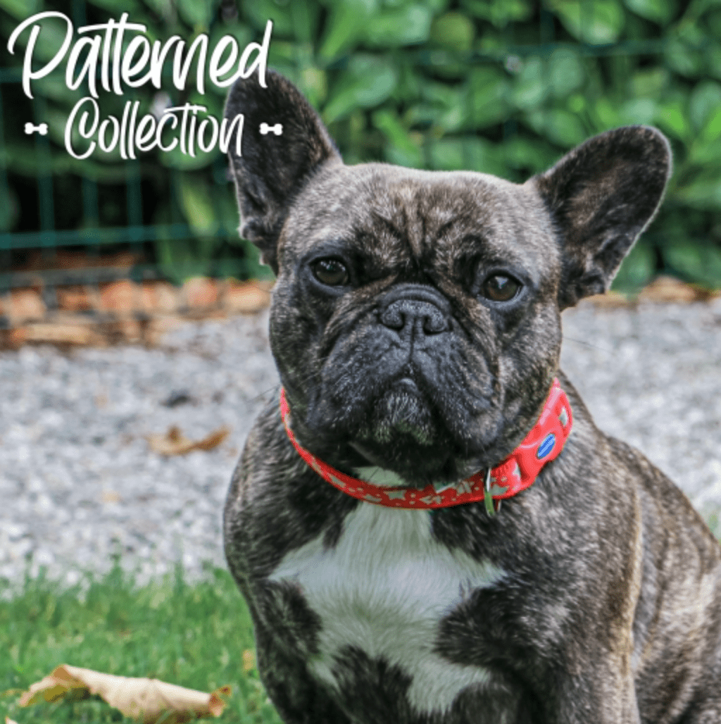 Ancol Fashion Reflective Dog Collar (Stars Red) - Wuffies
