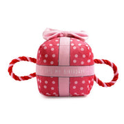 Ancol 'It's My Birthday' Present (Pink) - Wuffies