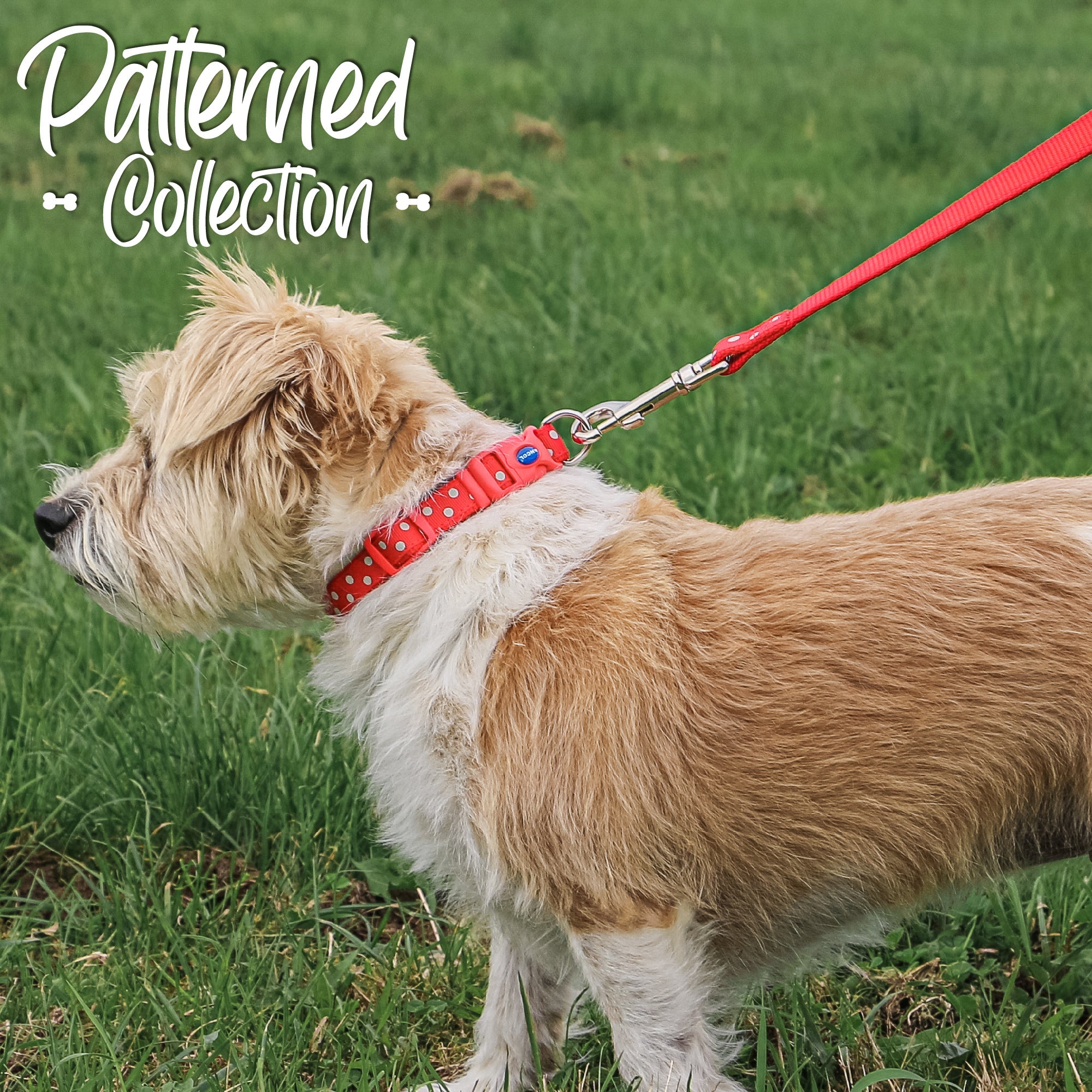 Ancol Nylon Polka Dot Dog Collar (Pink) - Wuffies