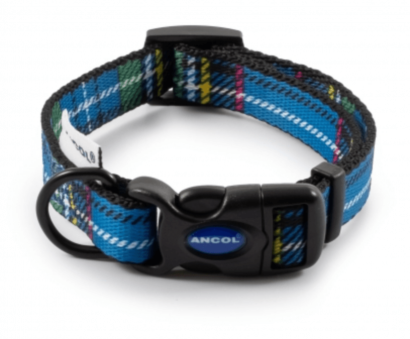 Ancol Nylon Tartan Adjustable Dog Collar (Blue) - Wuffies