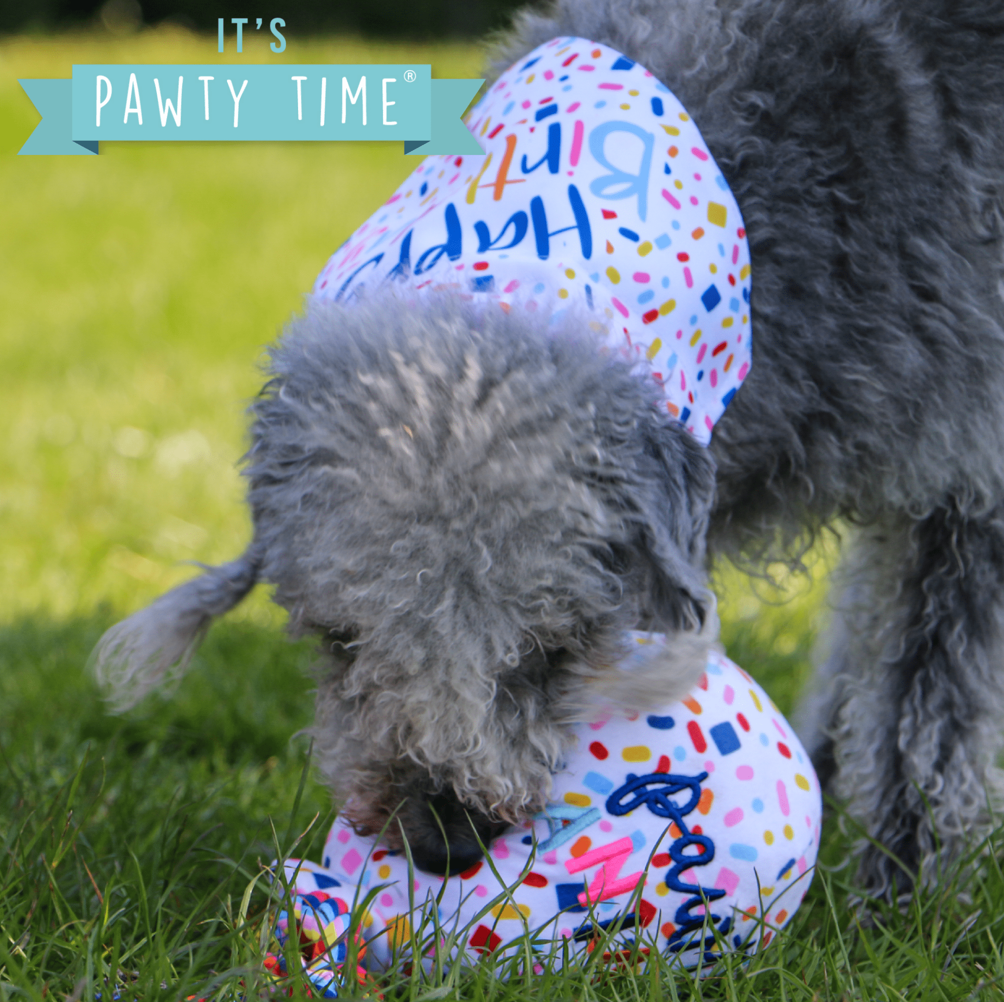 Ancol Pawty Balloon Celebration Dog Toy - Wuffies