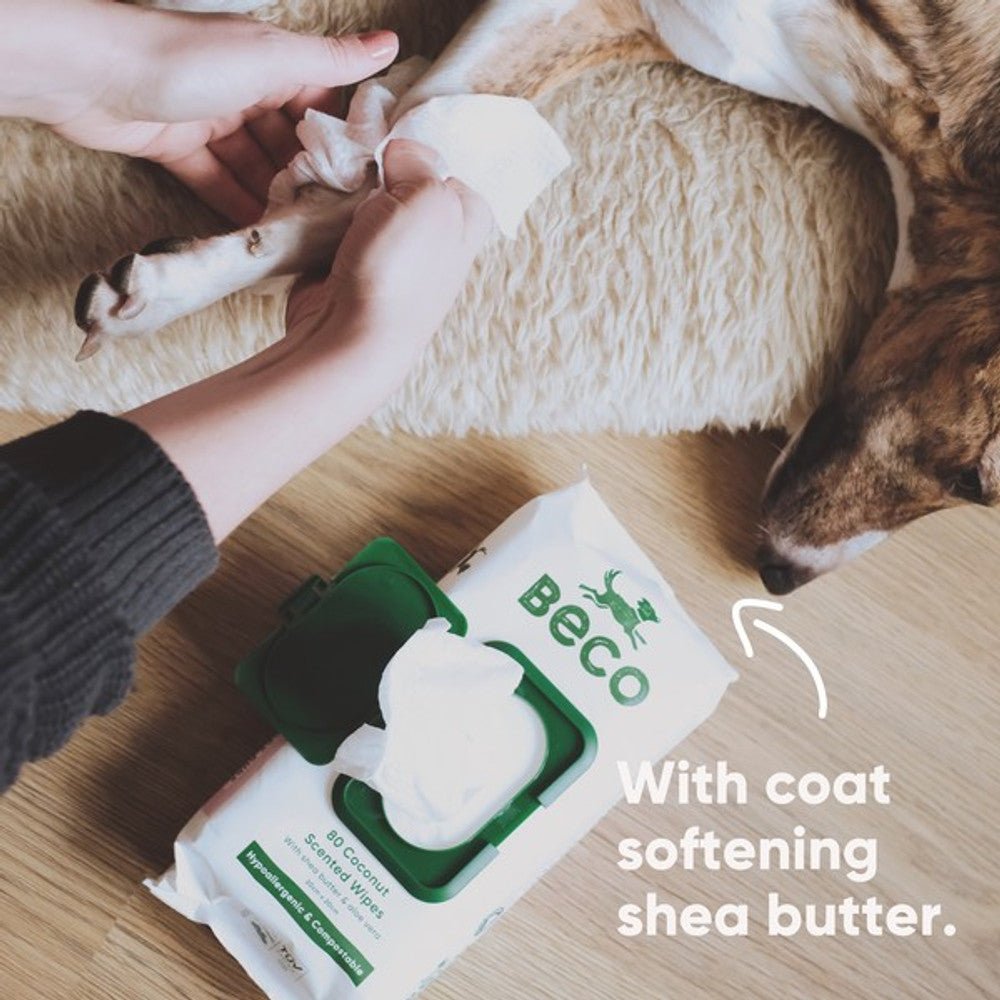 Beco Bamboo Dog Wipes Coconut (80 Wipes) - Wuffies