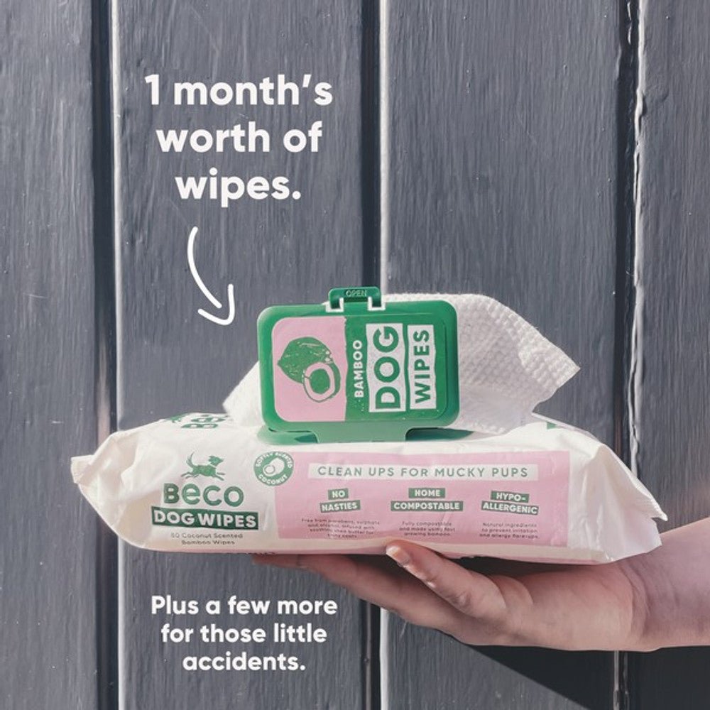 Beco Bamboo Dog Wipes Coconut (80 Wipes) - Wuffies
