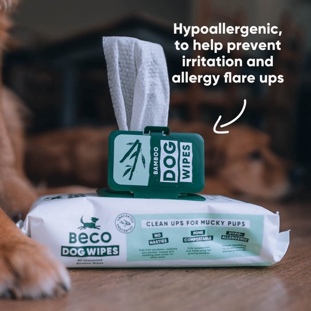 Beco Bamboo Dog Wipes Unscented (80 Wipes) - Wuffies