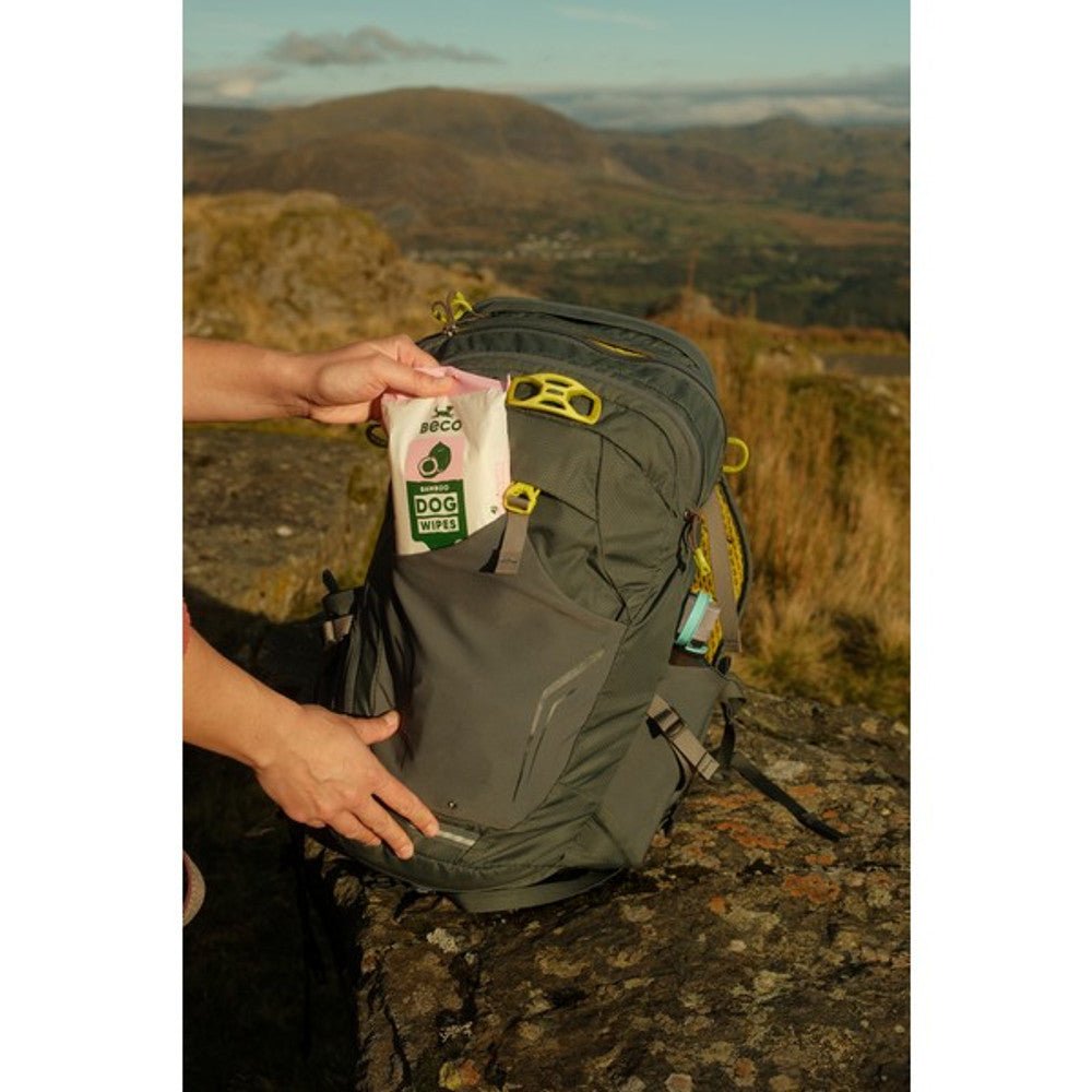 Beco Bamboo Travel Wipes Unscented (20 Wipes) - Wuffies