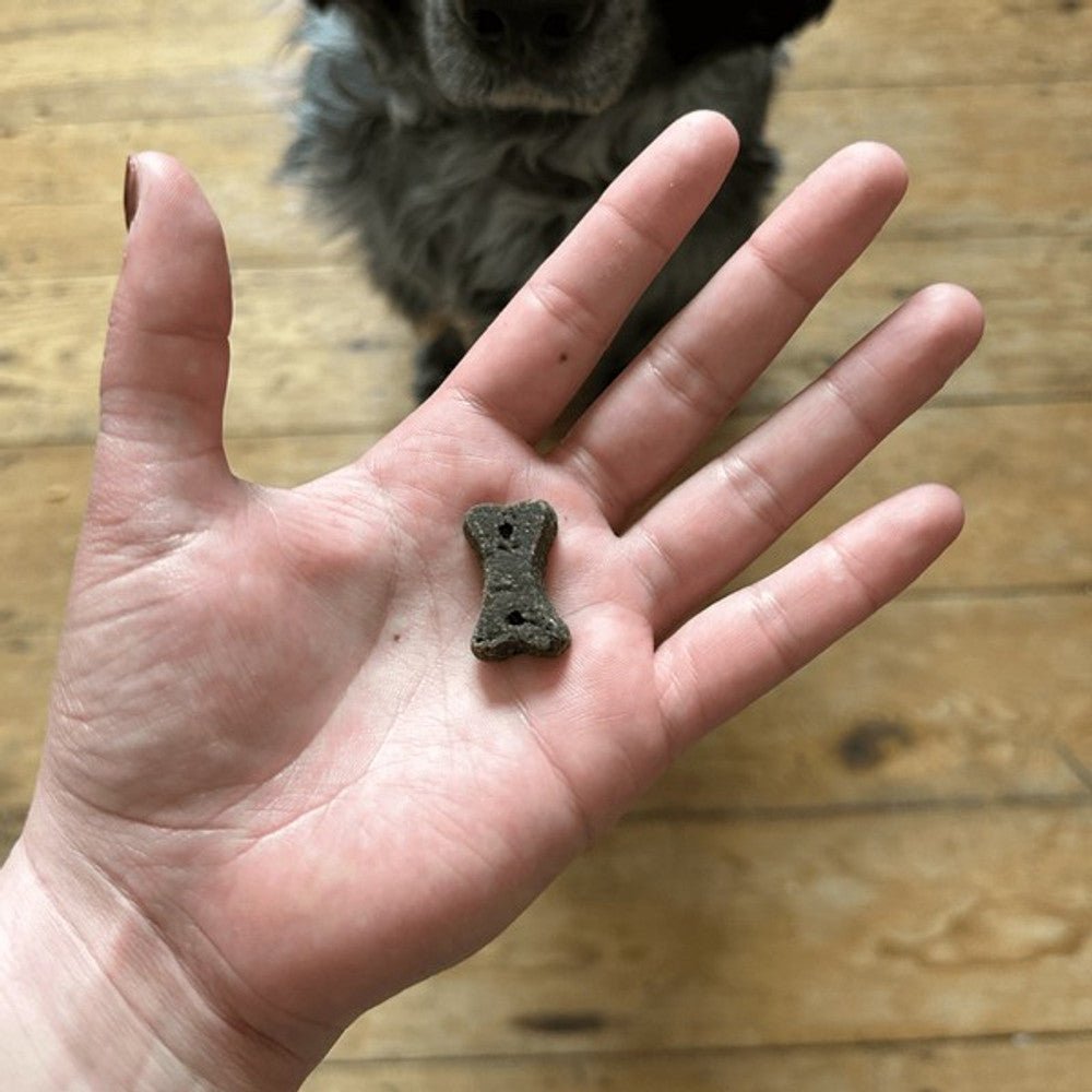 Beco Dog Treats Dog Choc with Carob, Chamomile & Quinoa (70g) - Wuffies