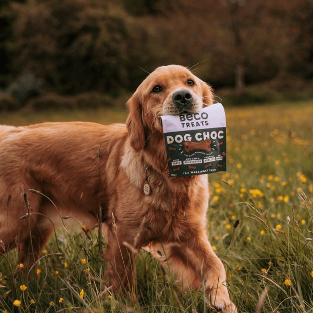Beco Dog Treats Dog Choc with Carob, Chamomile & Quinoa (70g) - Wuffies