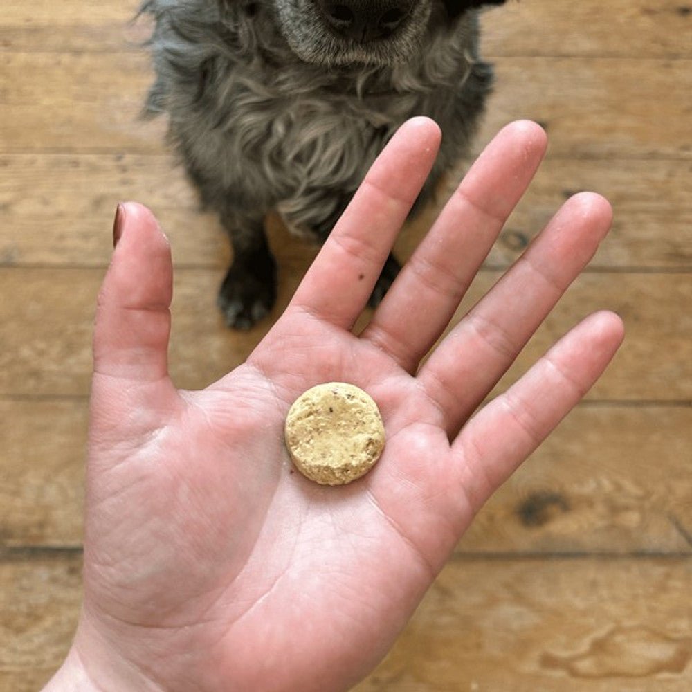 Beco Dog Treats Free Range Duck Liver with Sage & Carrot (60g) - Wuffies