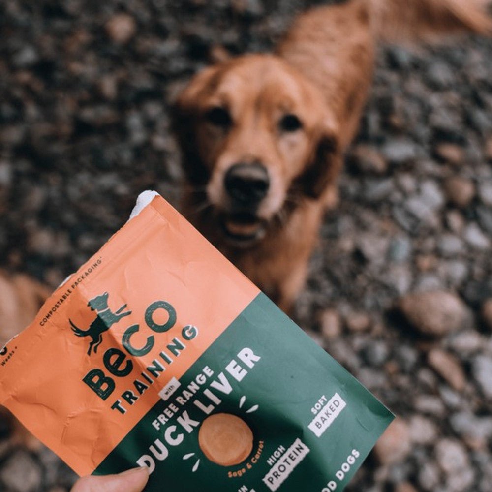 Beco Dog Treats Free Range Duck Liver with Sage & Carrot (60g) - Wuffies