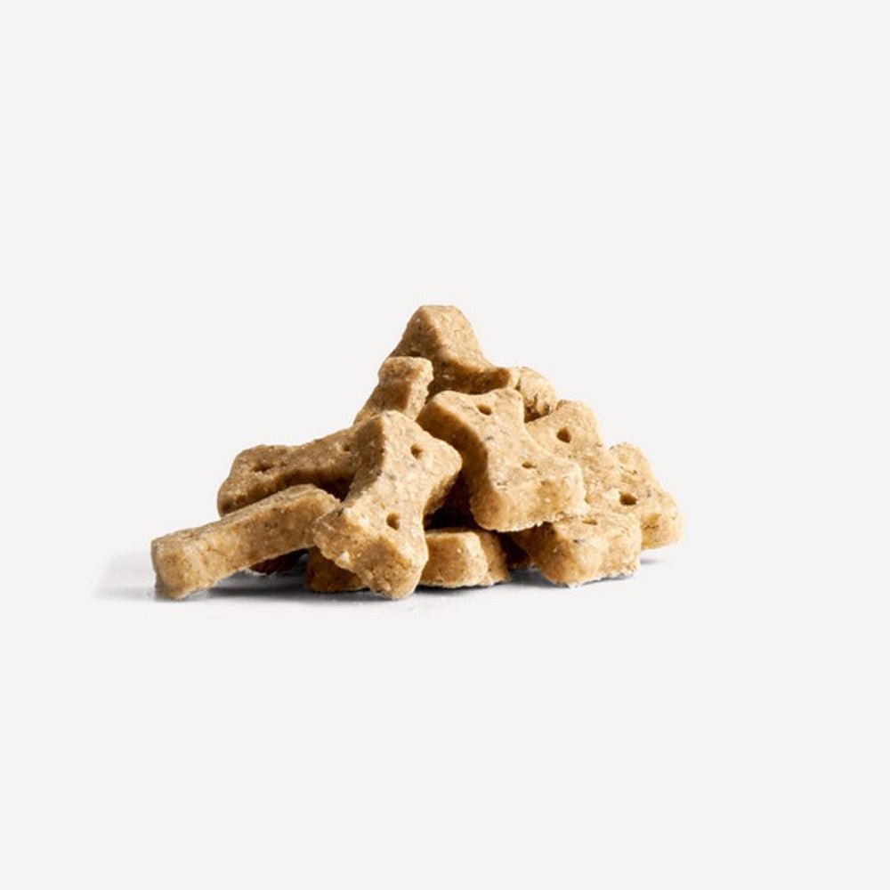 Beco Dog Treats Insect with Apple & Chia Seeds (70g) - Wuffies