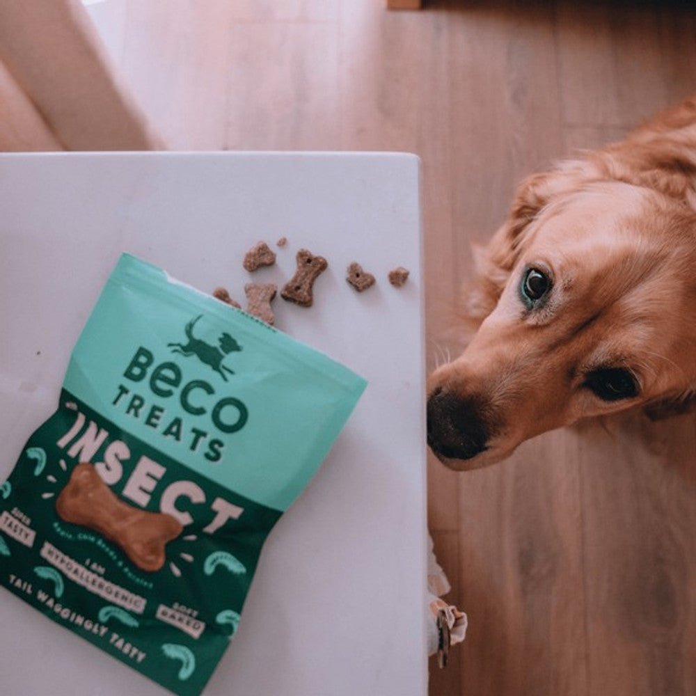 Beco Dog Treats Insect with Apple & Chia Seeds (70g) - Wuffies