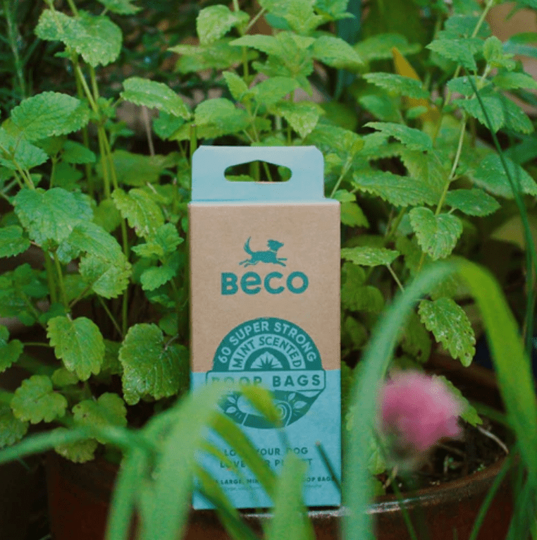 Beco Mint Scented Compostable Dog Poop Bags (60 Bags) - Wuffies