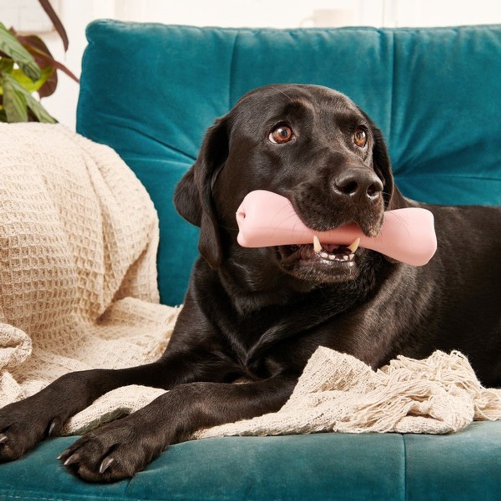 Beco Natural Rubber Chew Bone (Green) - Wuffies