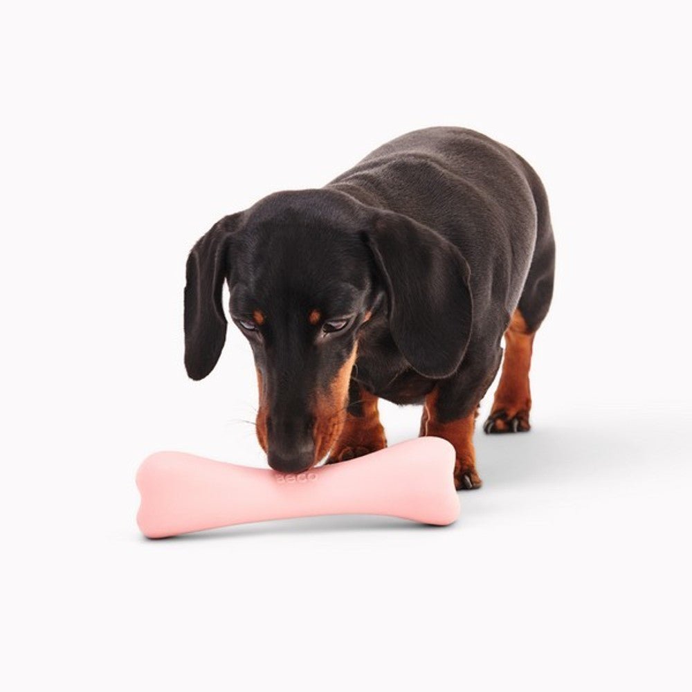Beco Natural Rubber Chew Bone (Pink) - Wuffies