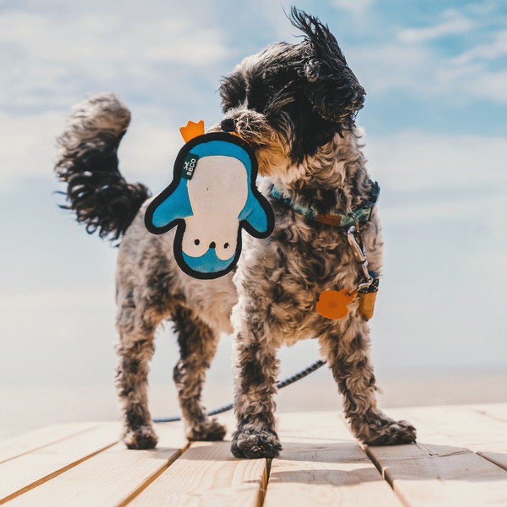 Beco Recycled Rough & Tough Penguin (Small) - Wuffies