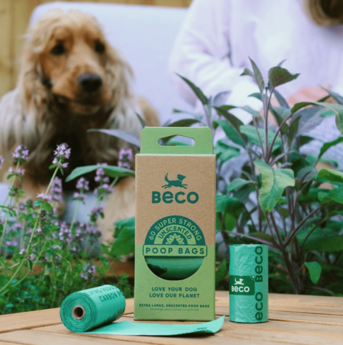 Beco Super Strong Unscented Compostable Dog Poop Bags (60 Bags) - Wuffies