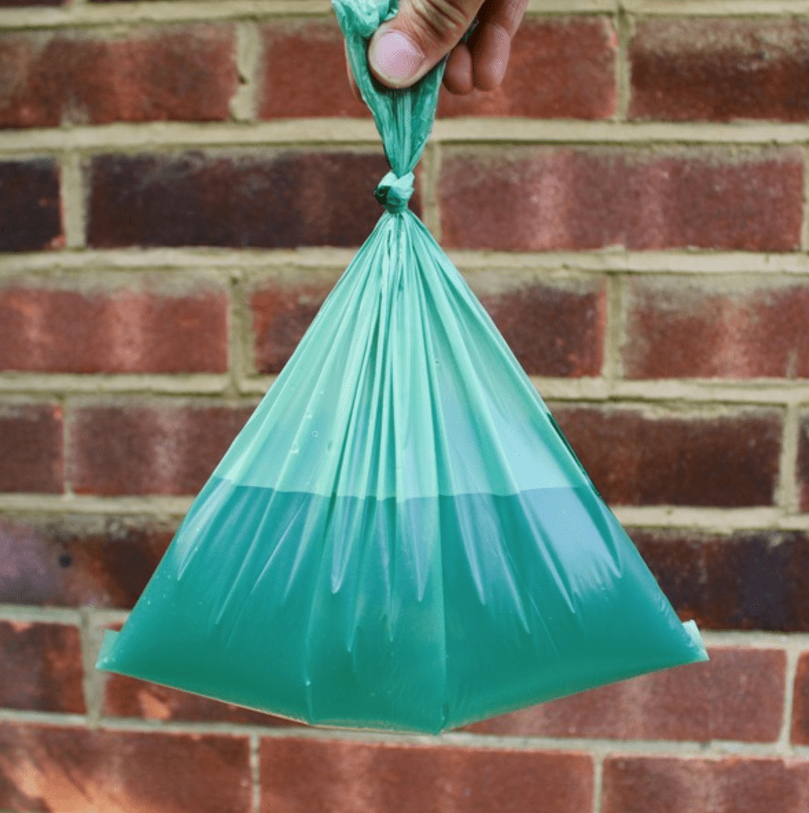 Beco Super Strong Unscented Compostable Dog Poop Bags (60 Bags) - Wuffies