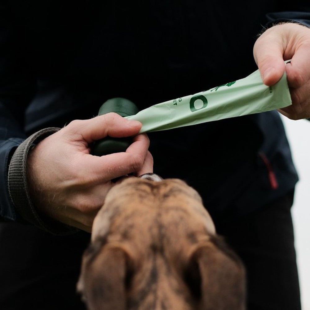 Beco Unscented Recycled Poop Bags w/ Handles (60 Poop Bags) - Wuffies