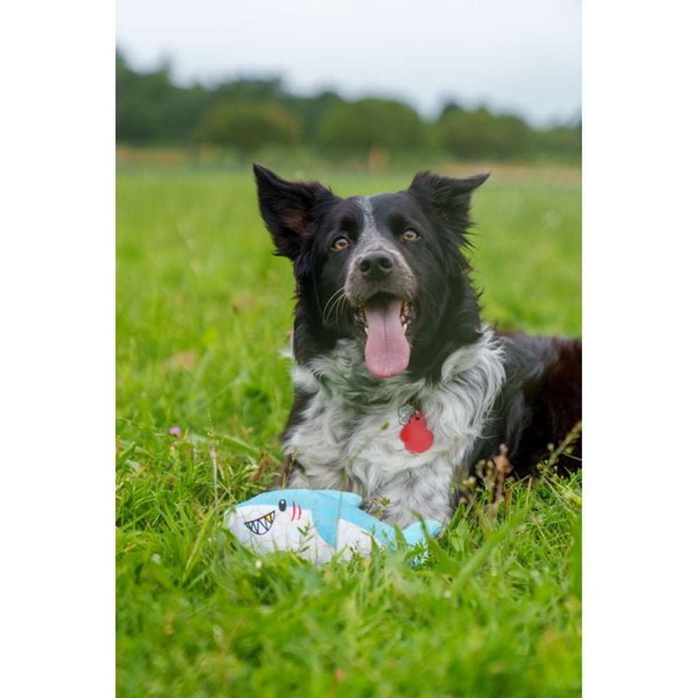 Bite Force Plush Crab Dog Toy - Wuffies