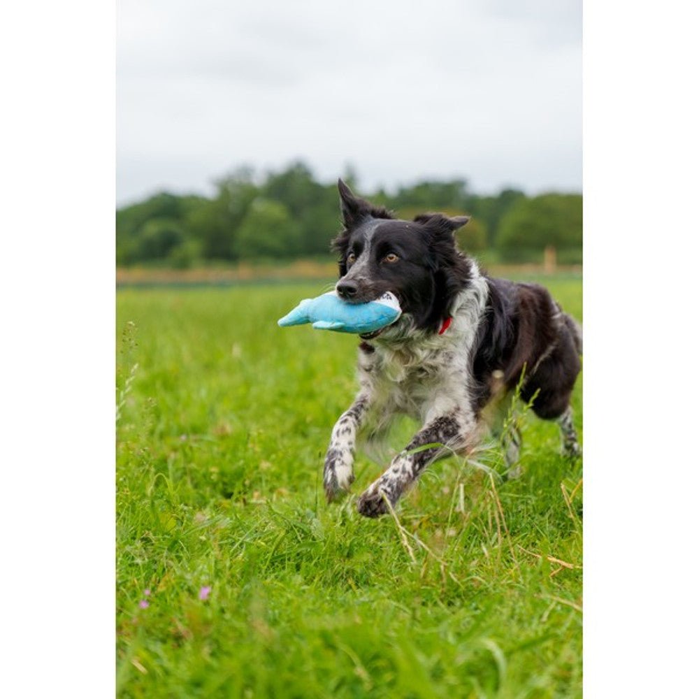 Bite Force Plush Crab Dog Toy - Wuffies