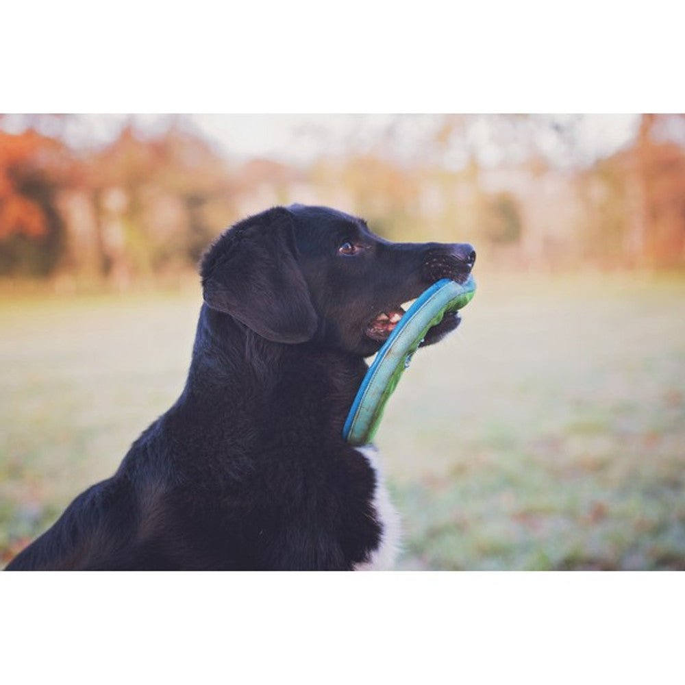 Chuckit! Amphibious Zipflight (Medium, 21cm) - Wuffies