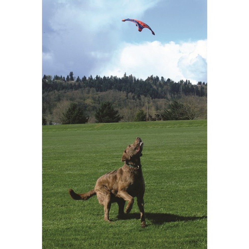 Chuckit! Flying Squirrel (Medium) - Wuffies