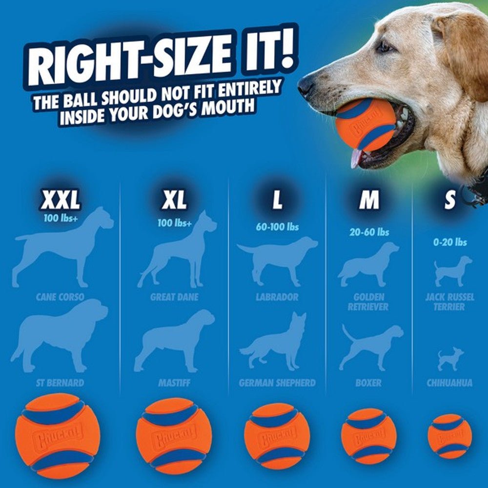 Chuckit! Ultra Tug Fetch & Throw Dog Toy - Wuffies