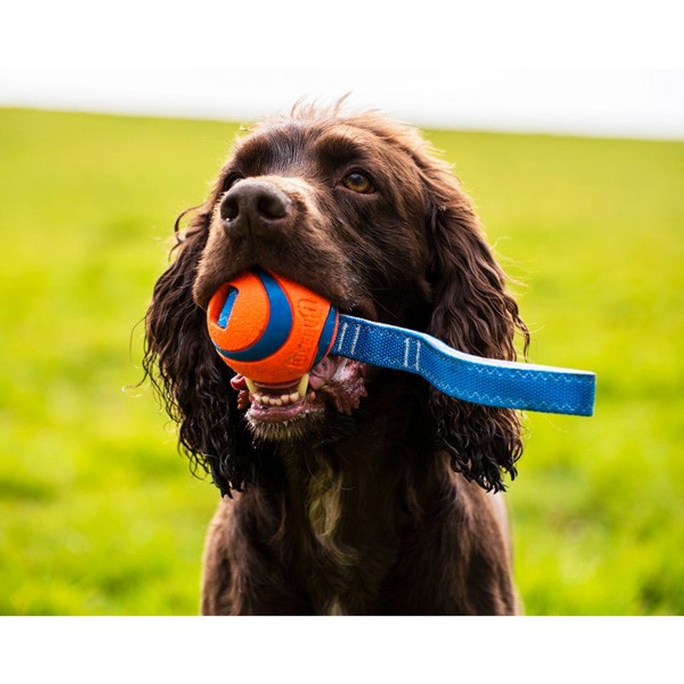 Chuckit! Ultra Tug Fetch & Throw Dog Toy - Wuffies