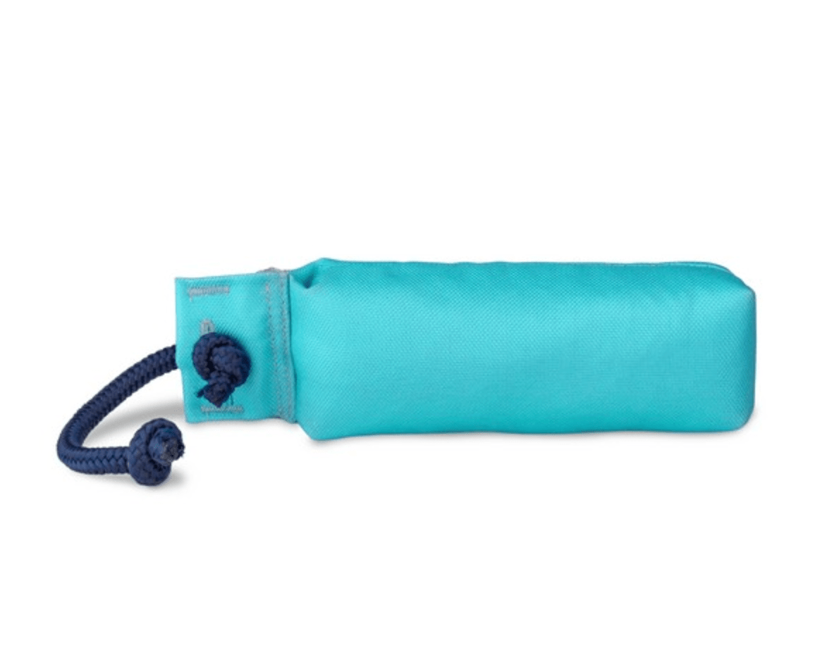 Coachi Dog Training Dummy (Light Blue, Large) - Wuffies