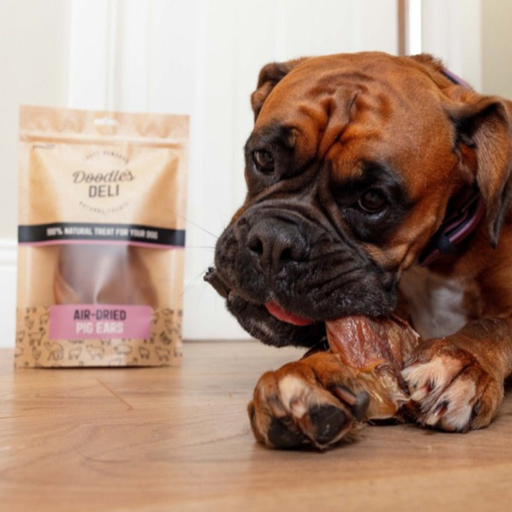 Doodle's Deli Air Dried Pig Ears (100g) - Wuffies