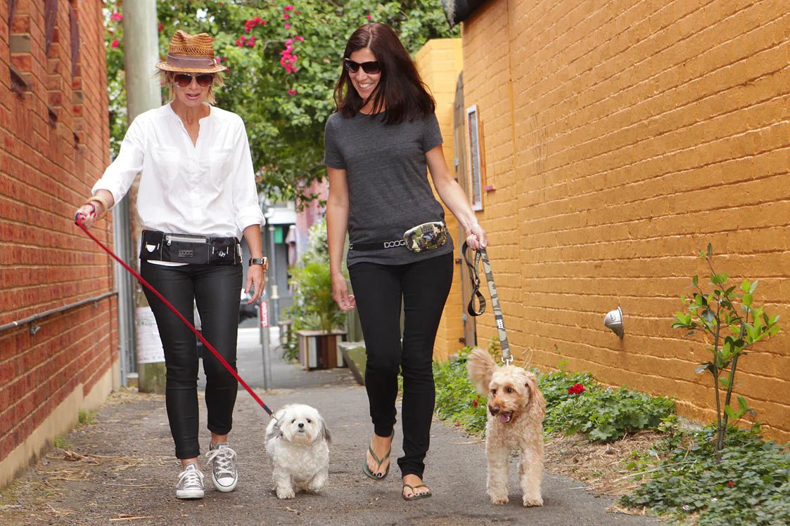 DOOG Dog Walking Belt (Grey/Pink) - Wuffies