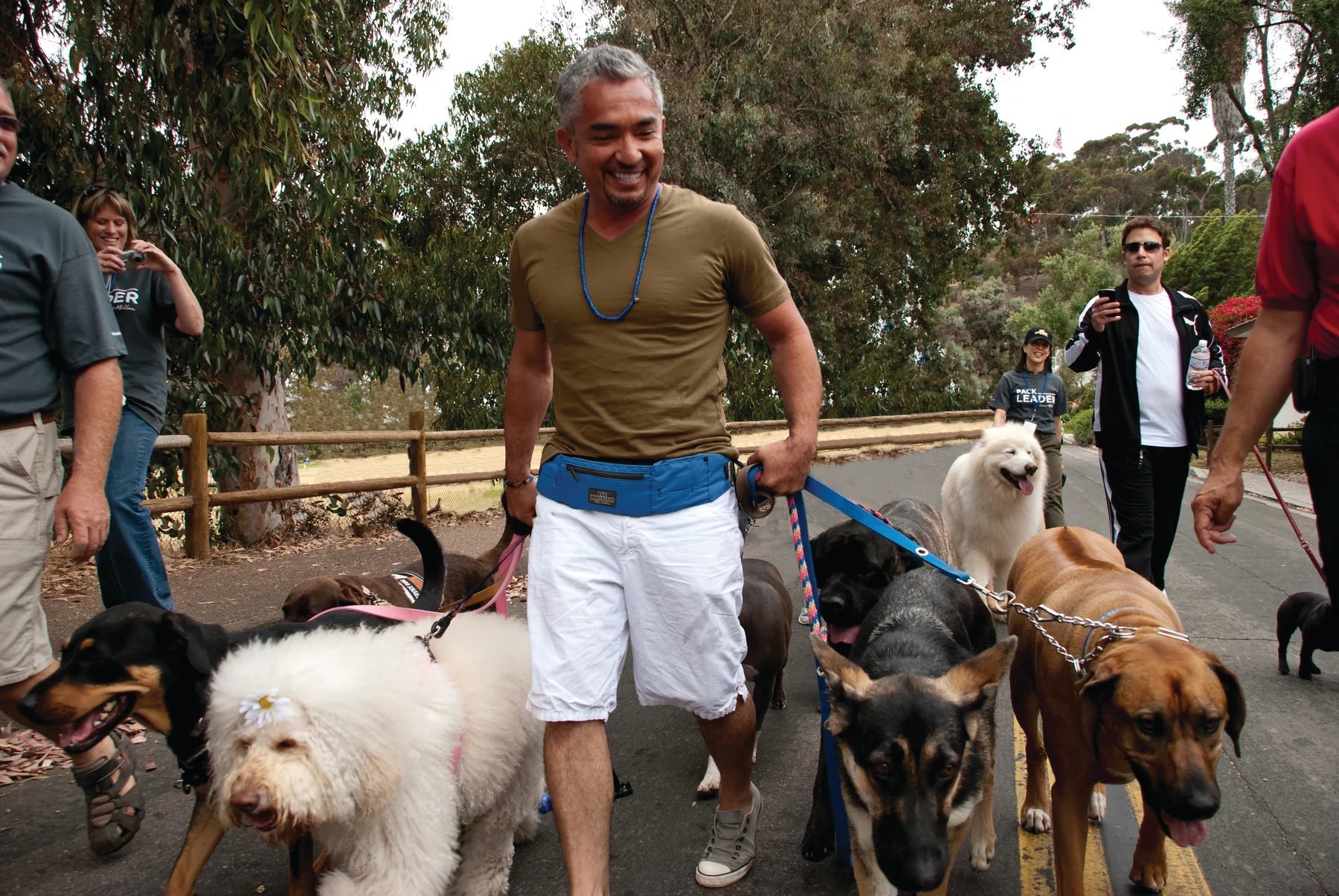 DOOG Dog Walking Belt (Navy/Blue) - Wuffies