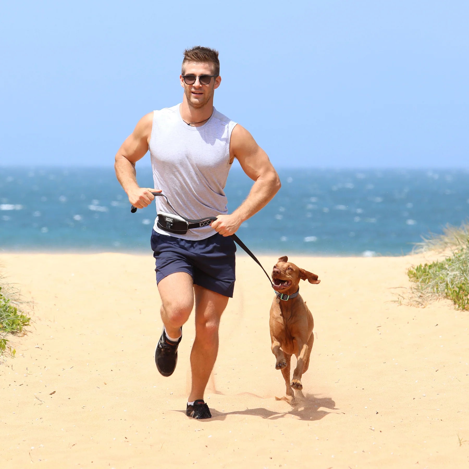 DOOG Mini Dog Walking Belt (Navy & Red) - Wuffies