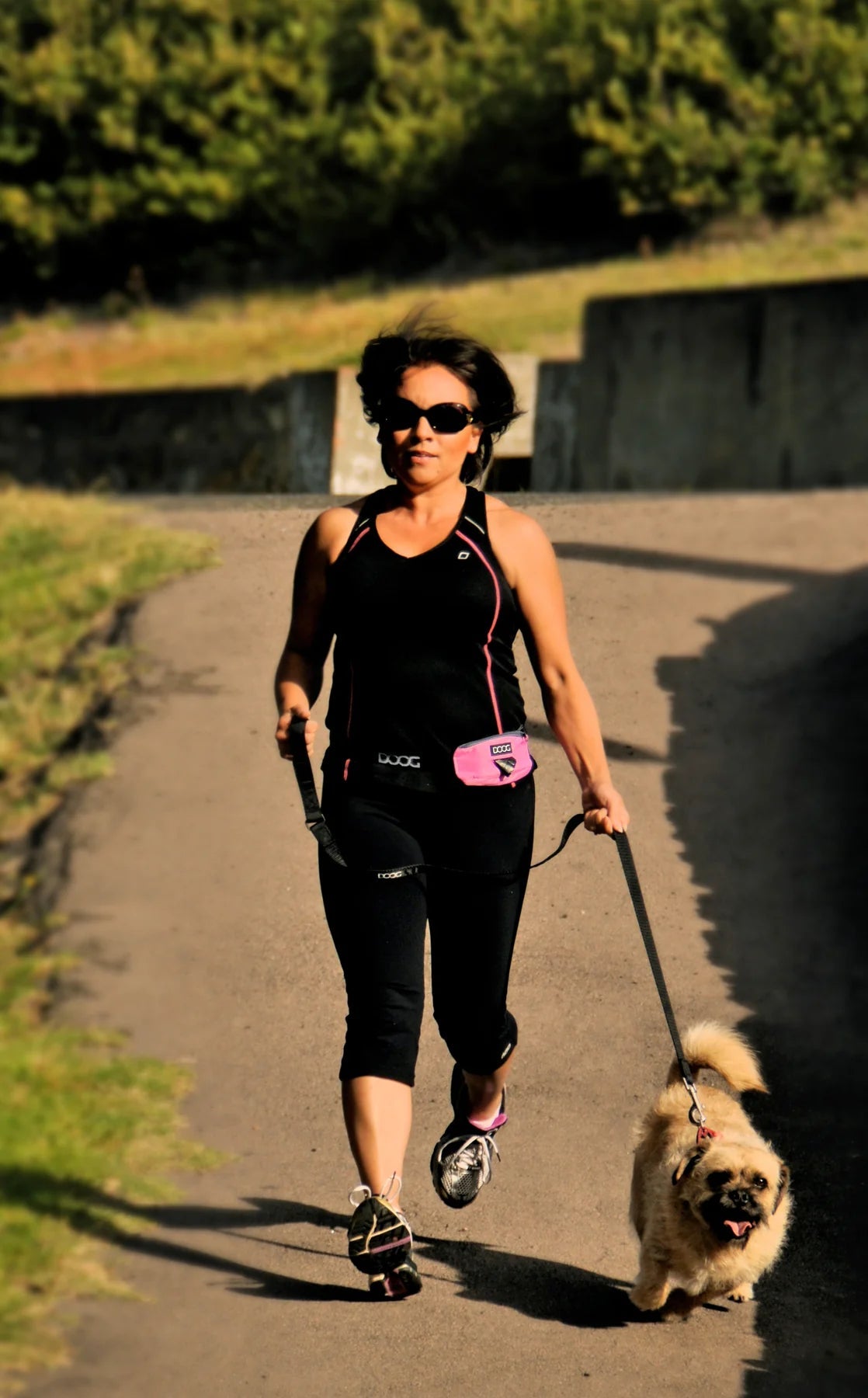 DOOG Mini Dog Walking Belt (Navy & Red) - Wuffies
