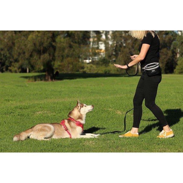 DOOG Treat Pouch (Black, Large) - Wuffies