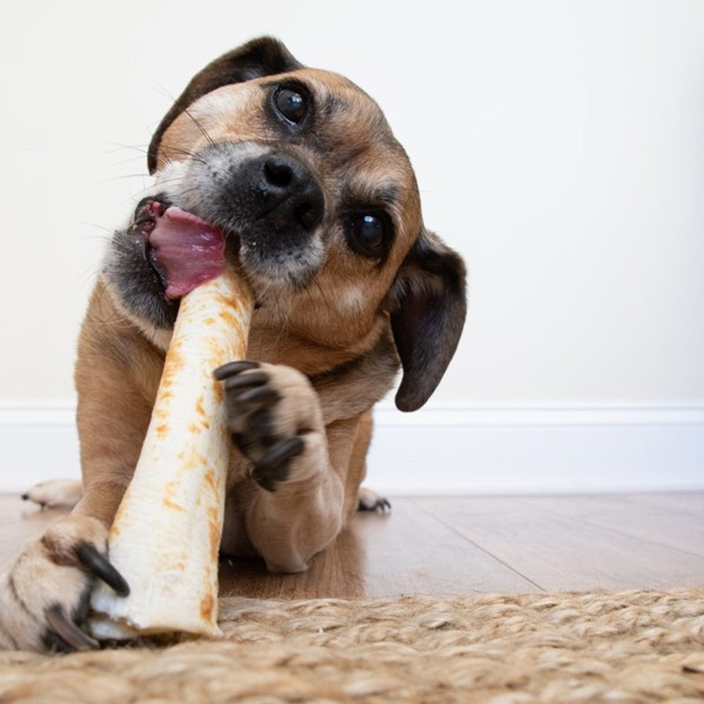 Earth Animal No - Hide Chicken Dog Chew (Large, 99g) - Wuffies