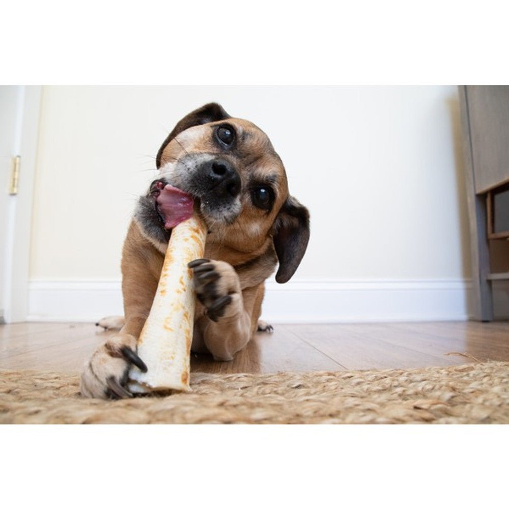 Earth Animal No - Hide Peanut Butter Dog Chew (Large, 99g) - Wuffies