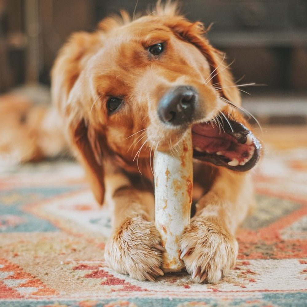 Earth Animal No - Hide Salmon Dog Chew (Medium, 60g) - Wuffies