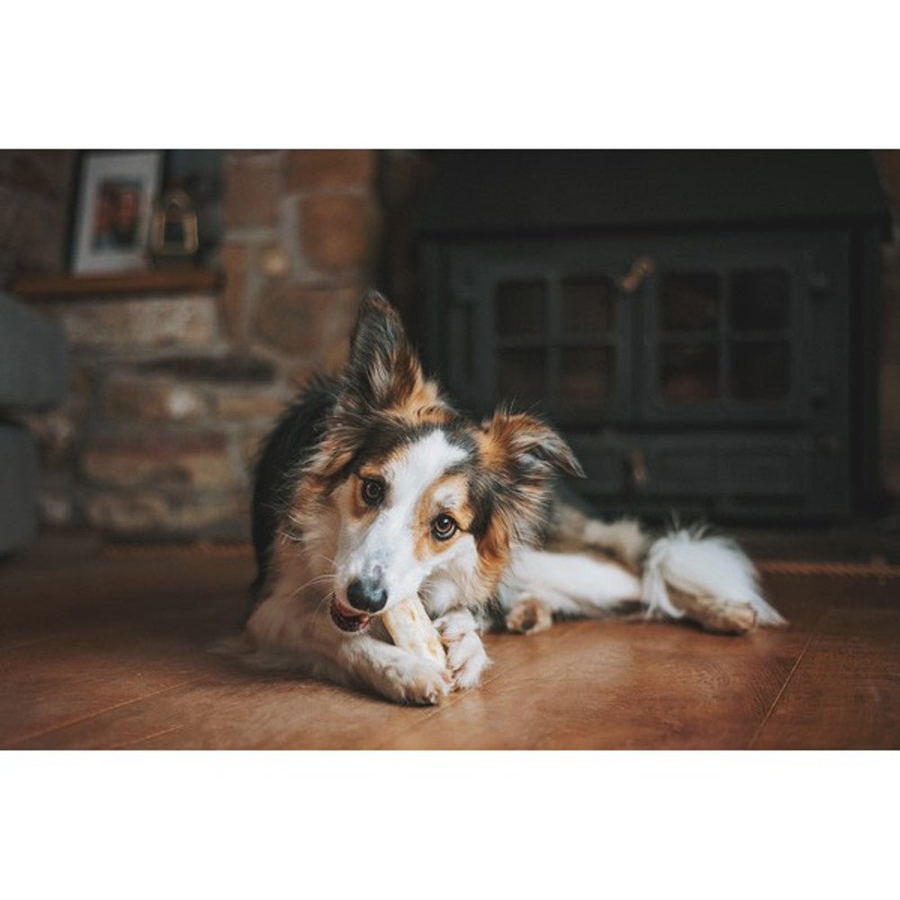 Earth Animal No - Hide Salmon Dog Chew (Small, 34g) - Wuffies