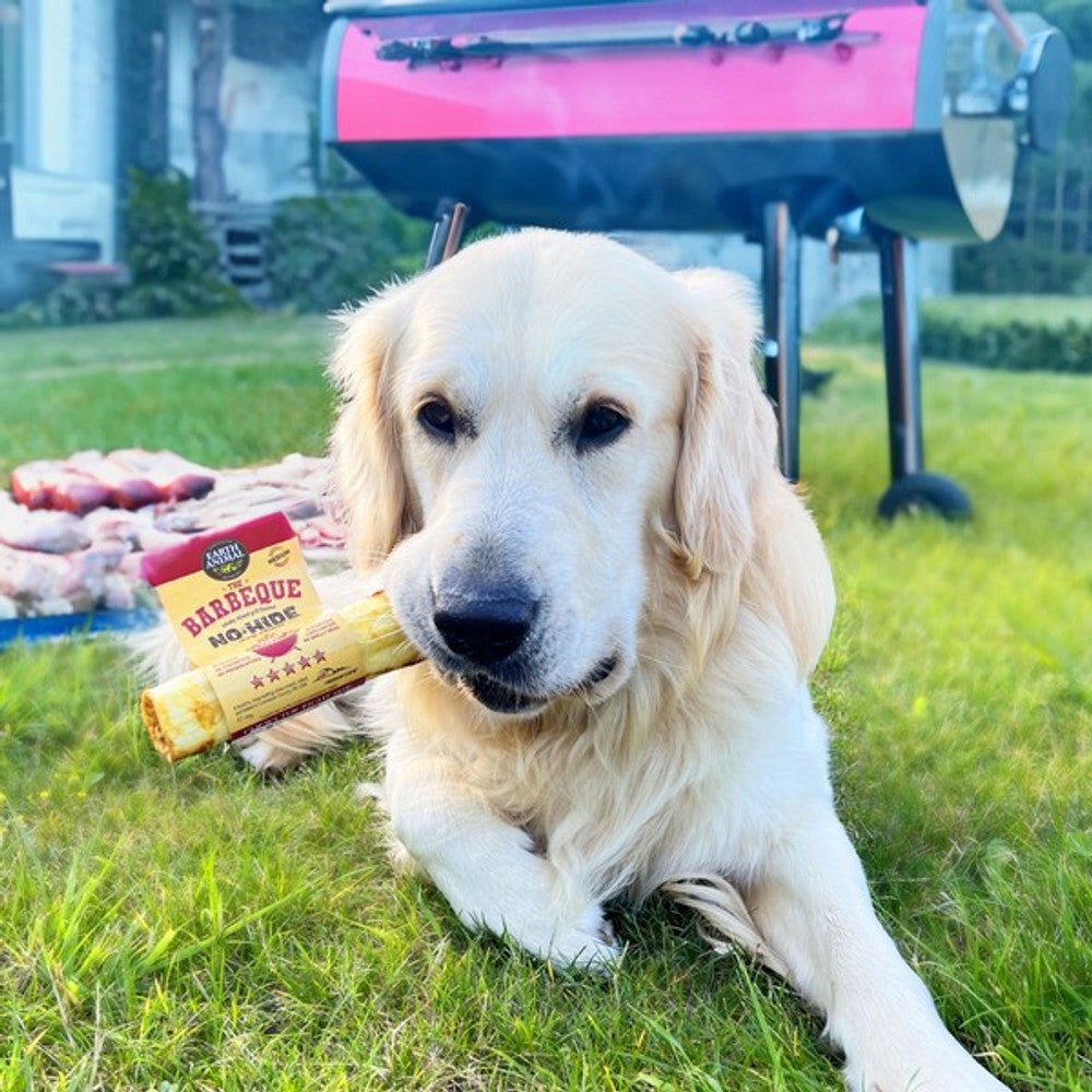 Earth Animal No - Hide The Barbeque Dog Chew (Medium, 60g) - Wuffies