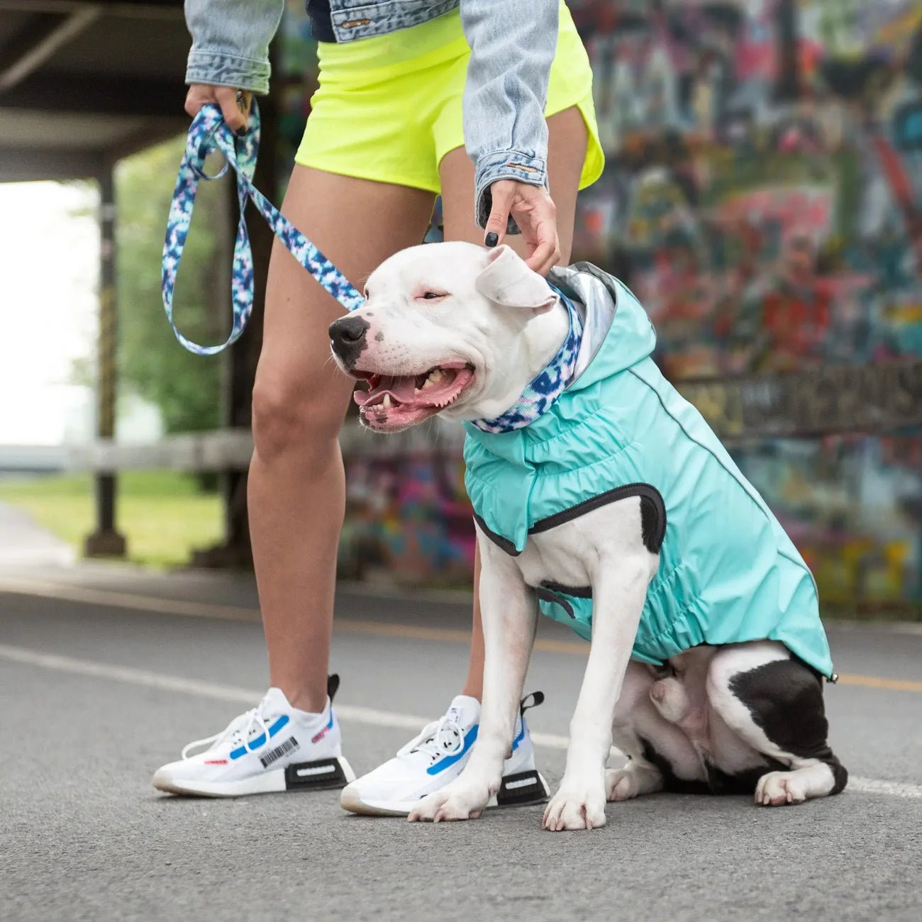Elasto - Fit Reversible Dog Raincoat (Neon Aqua & Iridescent) - Wuffies