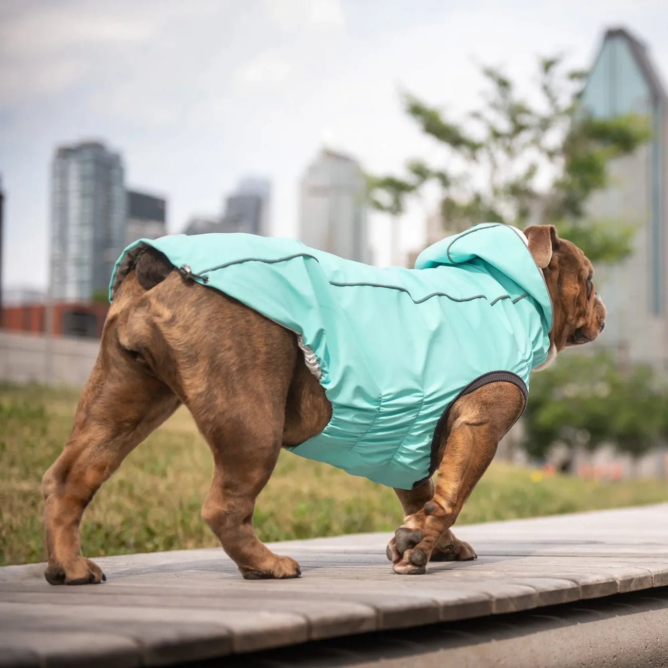 Elasto - Fit Reversible Dog Raincoat (Neon Aqua & Iridescent) - Wuffies