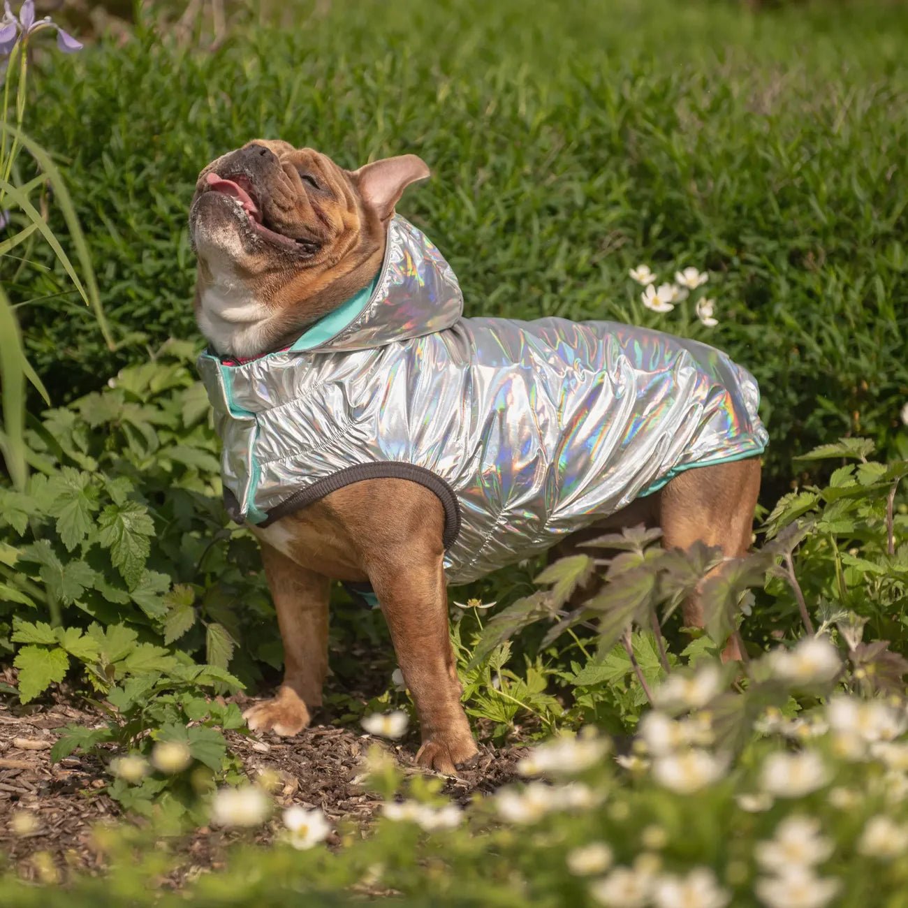 Elasto - Fit Reversible Dog Raincoat (Neon Aqua & Iridescent) - Wuffies