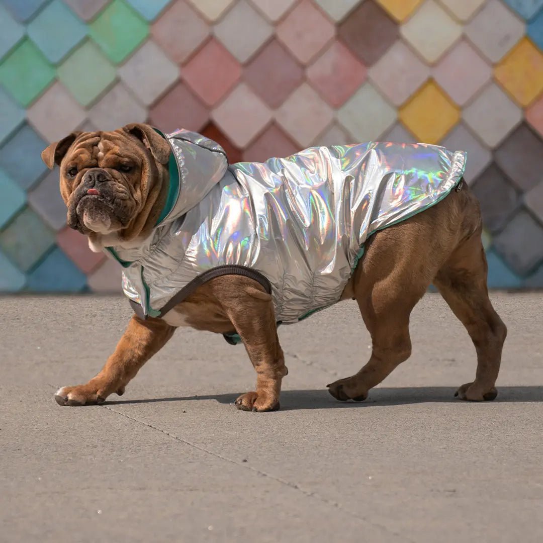 Elasto - Fit Reversible Dog Raincoat (Neon Aqua & Iridescent) - Wuffies