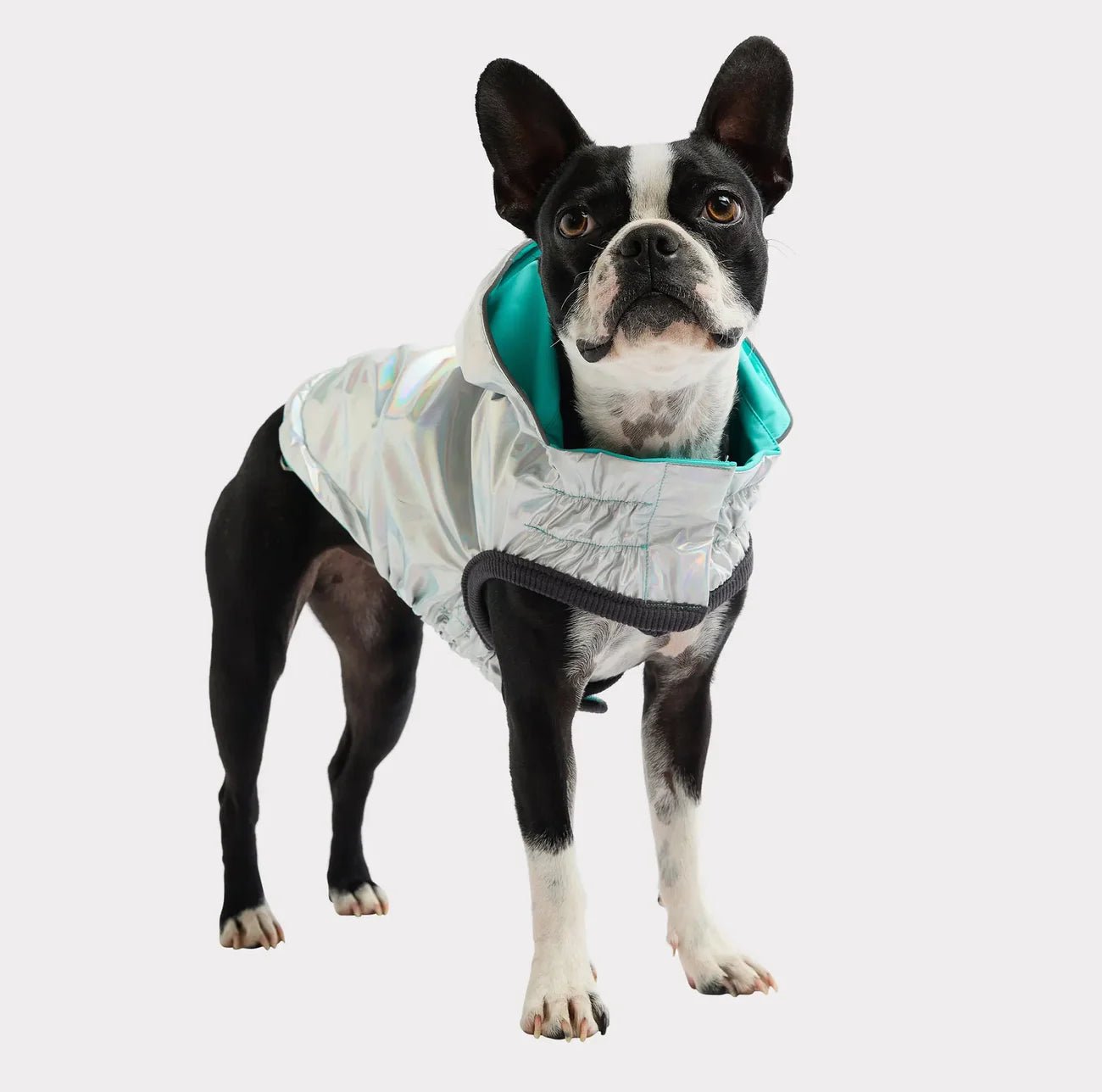 Elasto - Fit Reversible Dog Raincoat (Neon Aqua & Iridescent) - Wuffies
