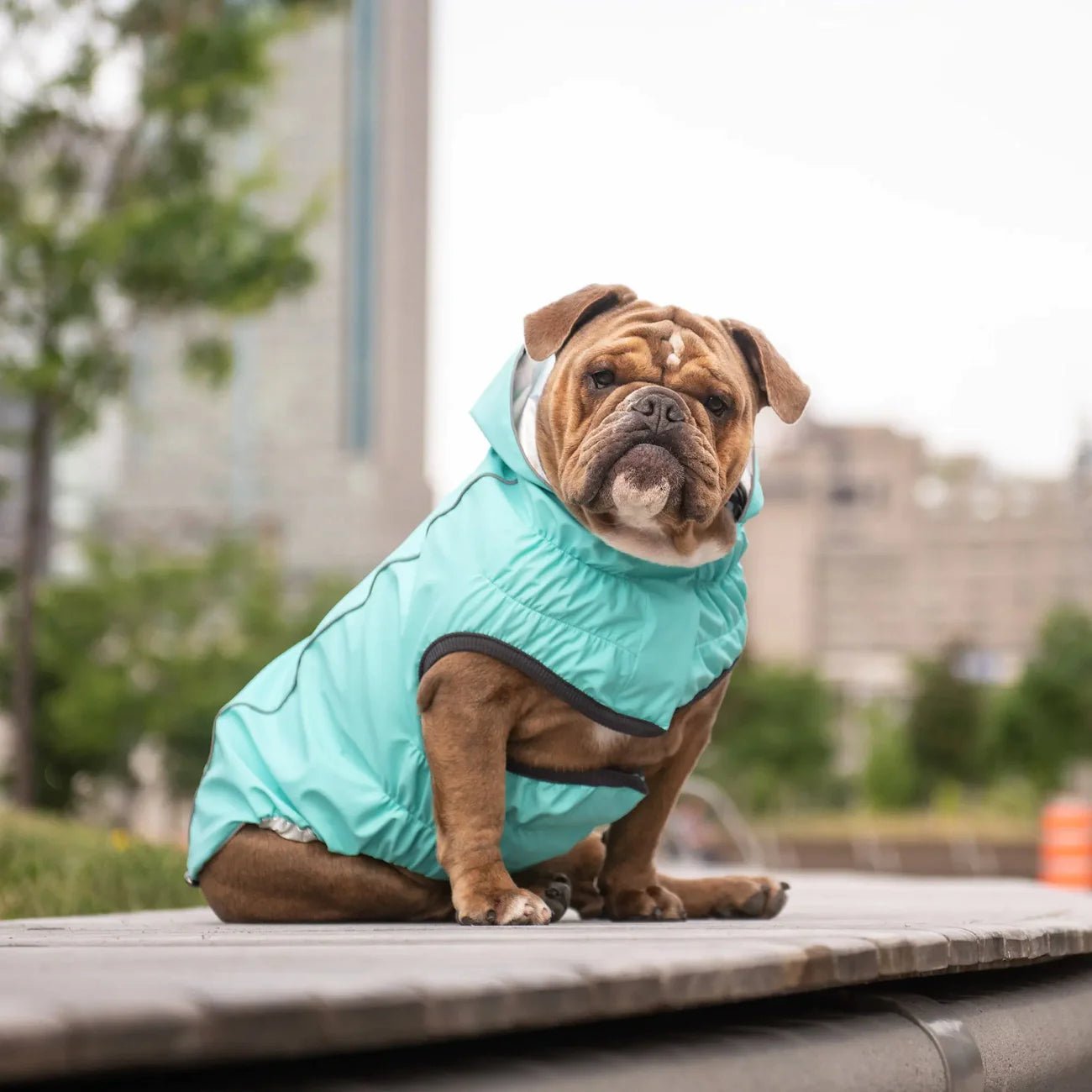 Elasto - Fit Reversible Dog Raincoat (Neon Aqua & Iridescent) - Wuffies