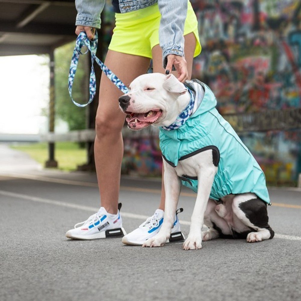 Elasto - Fit Reversible Dog Raincoat (Neon Aqua & Iridescent) - Wuffies